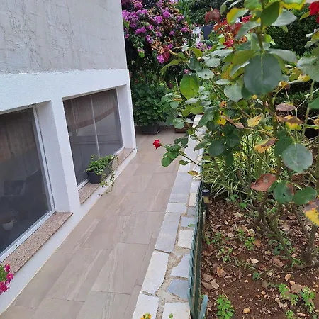 Roland Apartamento *